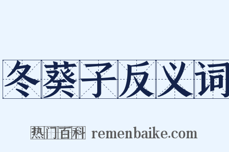 冬葵子反义词是什么意思的图片